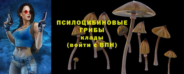 дживик Алексин
