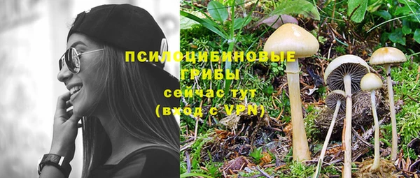apvp Алексеевка