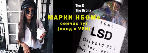 крисы Алзамай