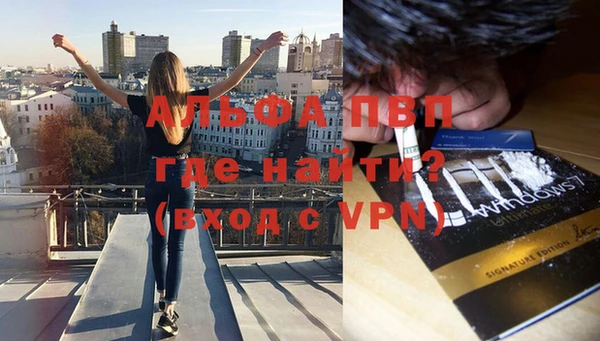ALPHA PVP Покачи