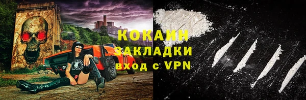 крисы Алзамай
