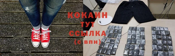 крисы Алзамай