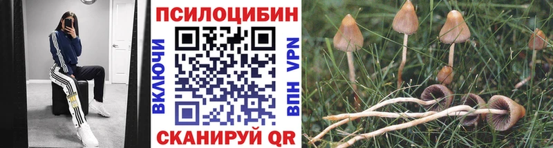 МЕГА зеркало  Калининск  Псилоцибиновые грибы GOLDEN TEACHER  купить закладку 